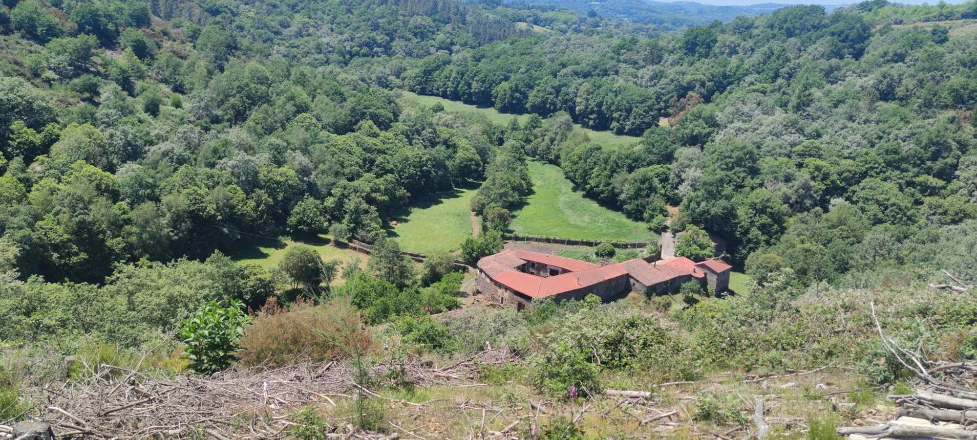 Casa Grande De Covas-Apartamentos Turisticos Taboada ภายนอก รูปภาพ