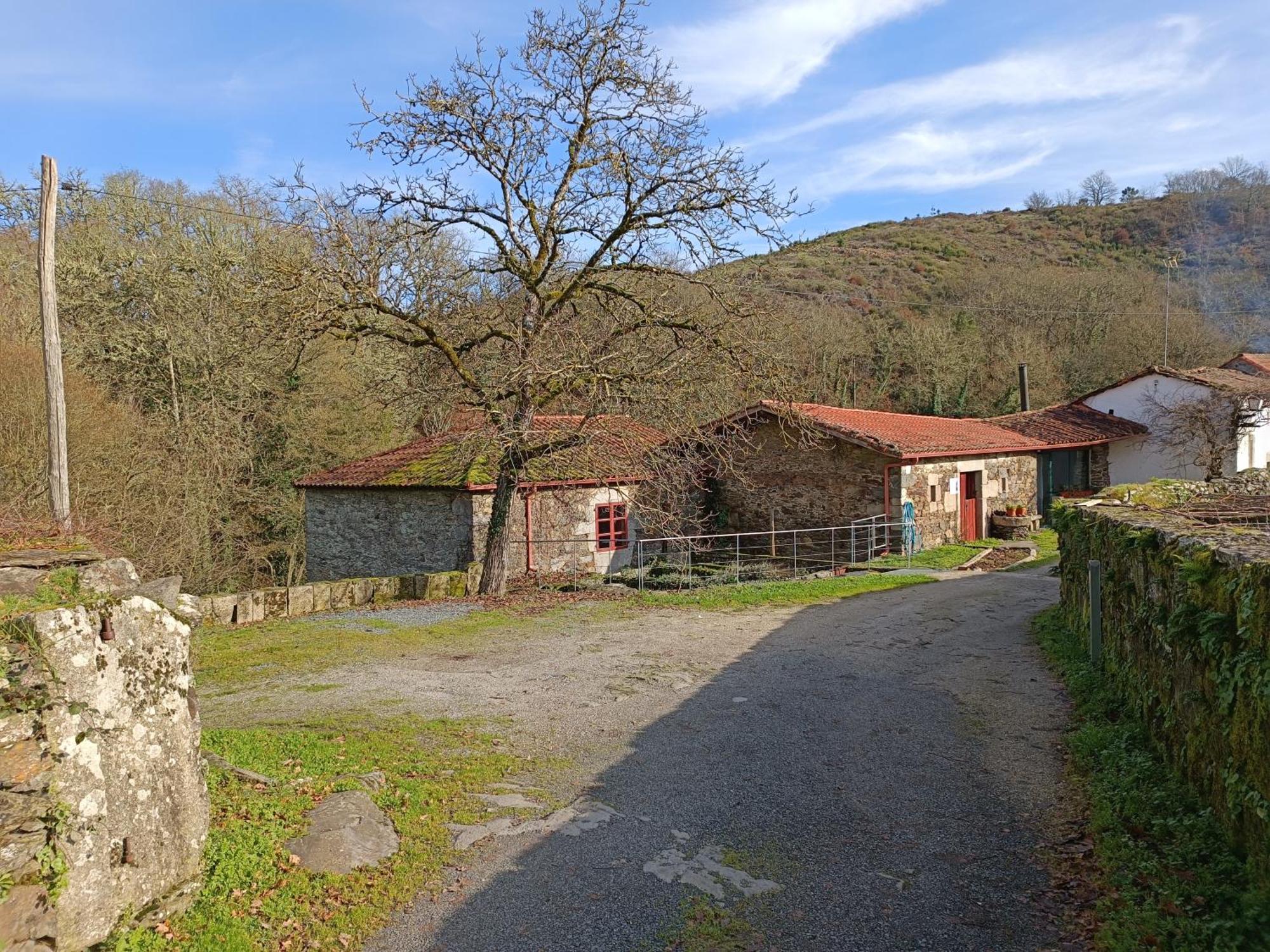 Casa Grande De Covas-Apartamentos Turisticos Taboada ภายนอก รูปภาพ