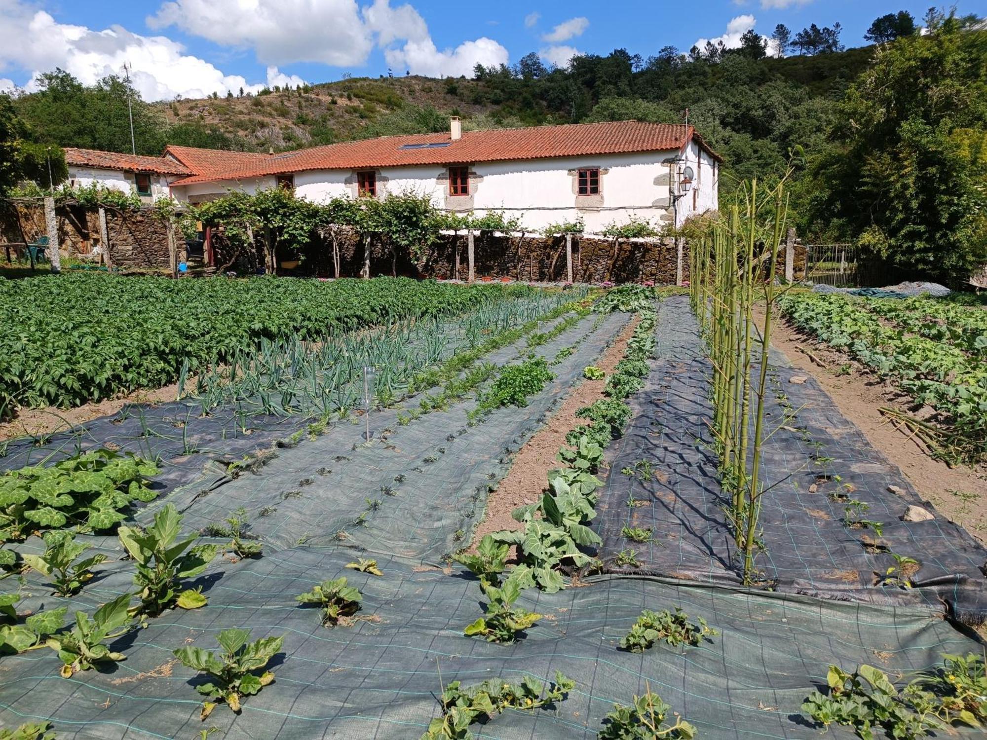 Casa Grande De Covas-Apartamentos Turisticos Taboada ภายนอก รูปภาพ