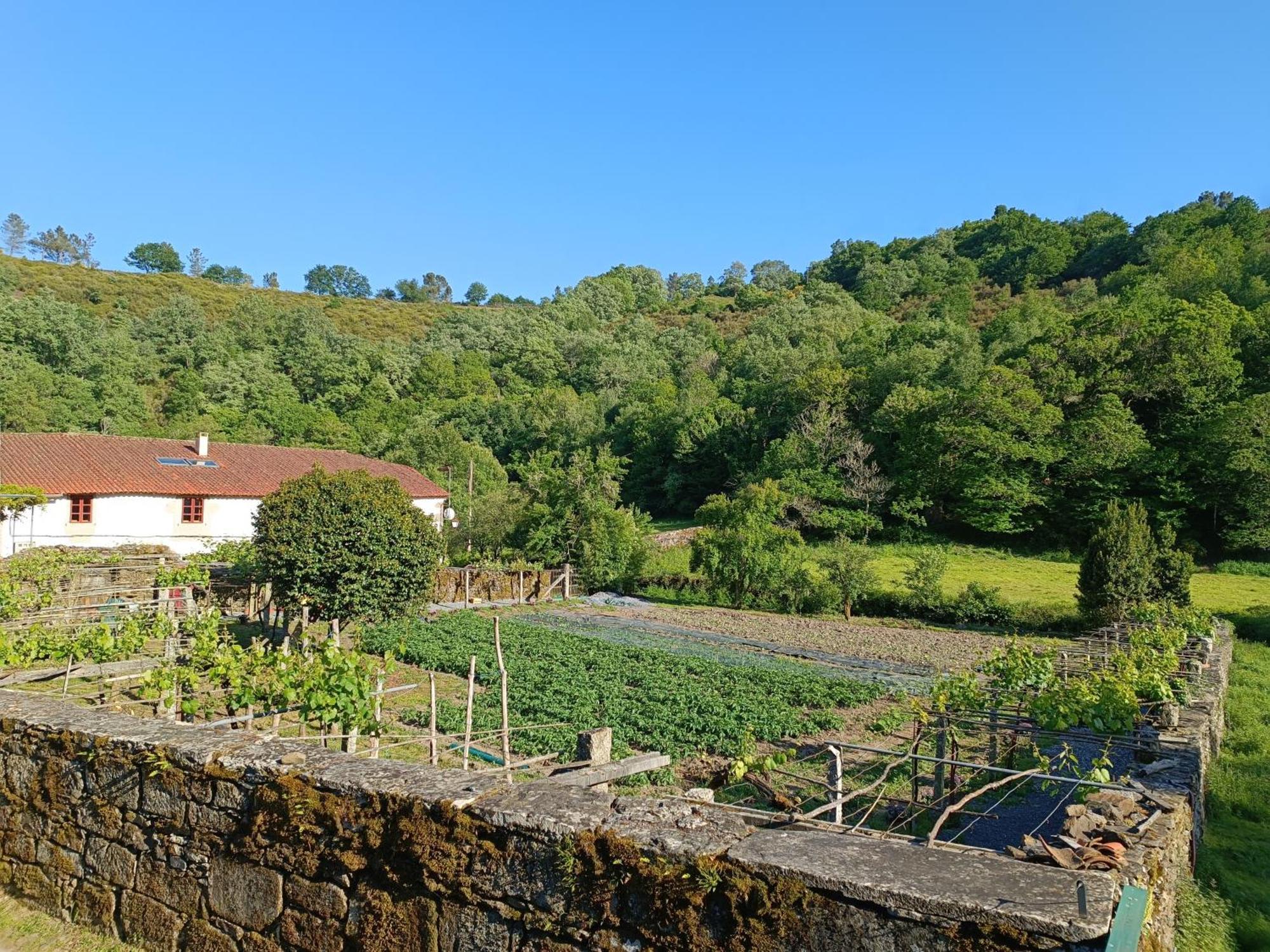Casa Grande De Covas-Apartamentos Turisticos Taboada ภายนอก รูปภาพ