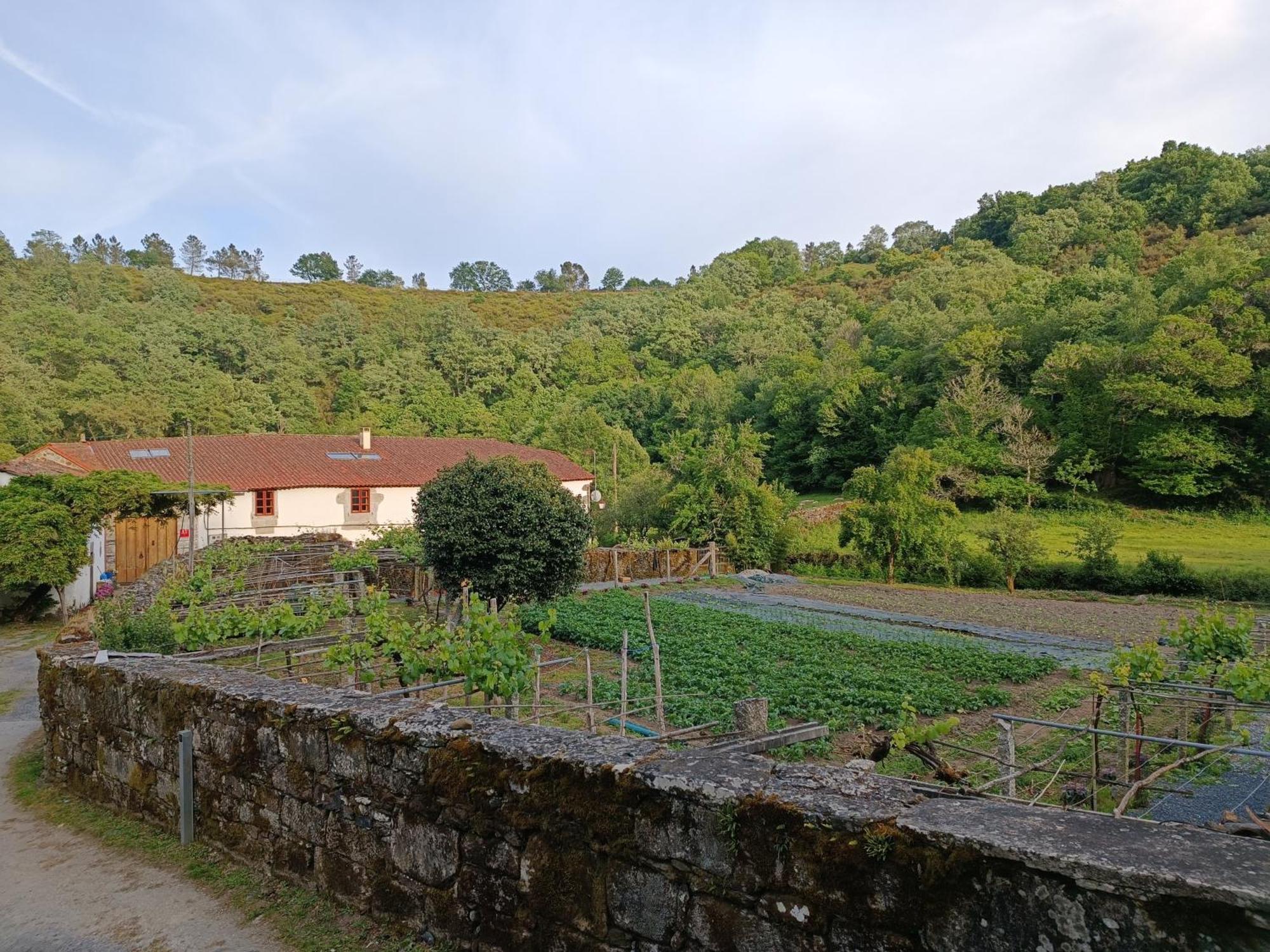 Casa Grande De Covas-Apartamentos Turisticos Taboada ภายนอก รูปภาพ