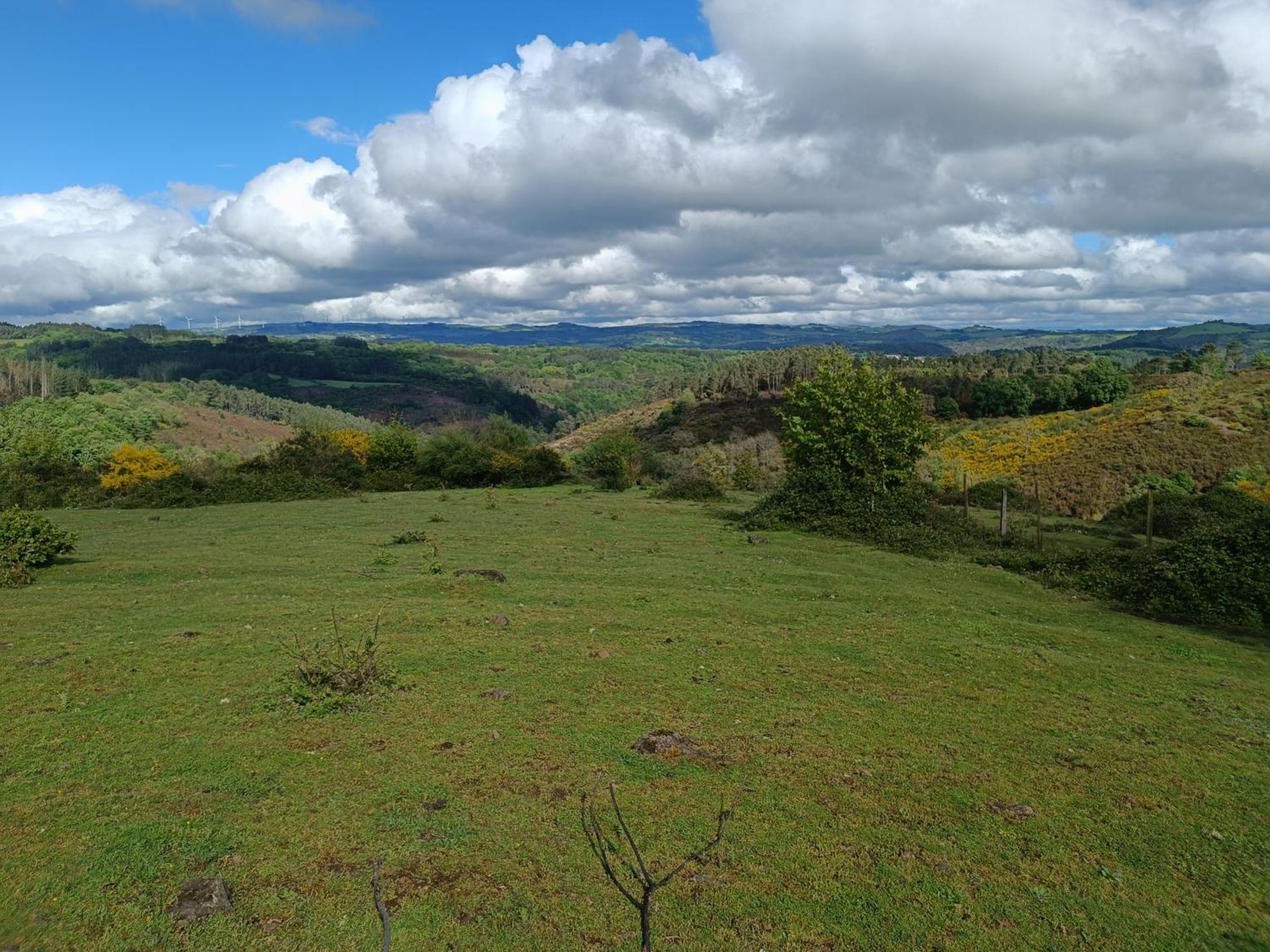 Casa Grande De Covas-Apartamentos Turisticos Taboada ภายนอก รูปภาพ