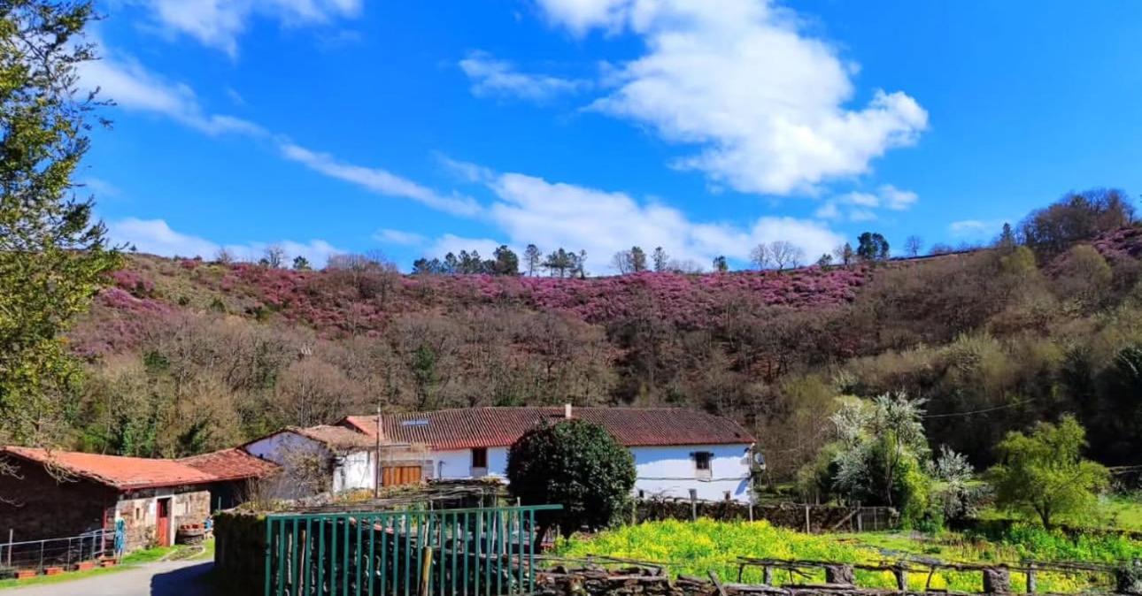 Casa Grande De Covas-Apartamentos Turisticos Taboada ภายนอก รูปภาพ