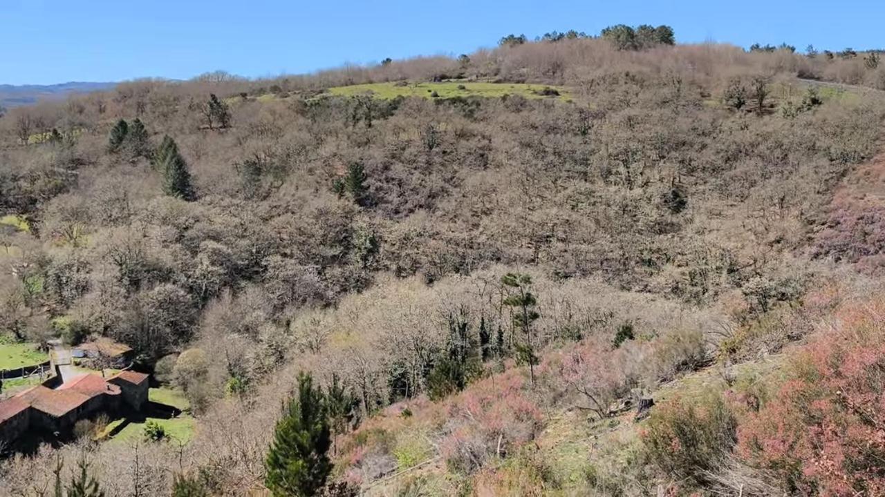 Casa Grande De Covas-Apartamentos Turisticos Taboada ภายนอก รูปภาพ